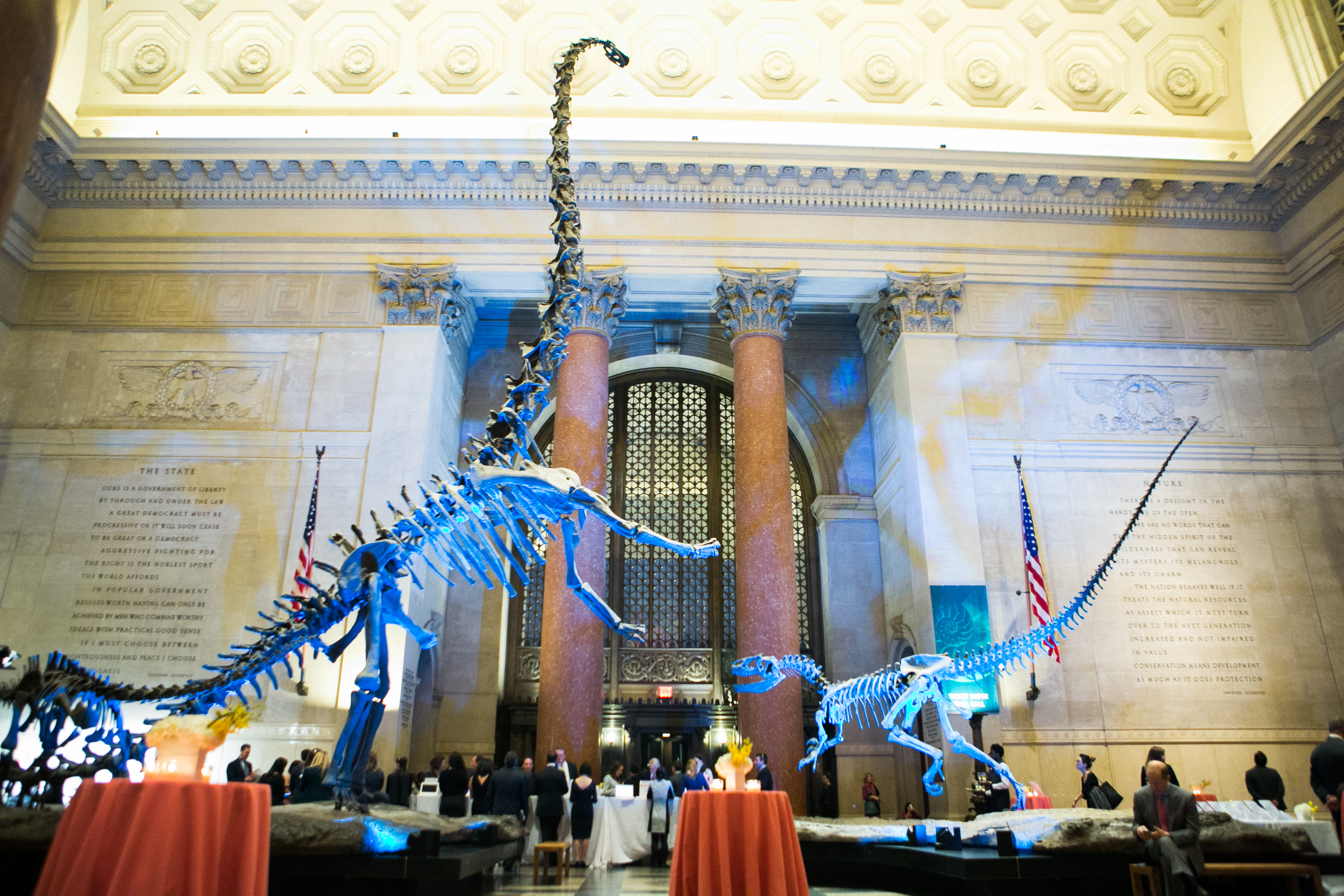 National Museum of Natural History in Washington, D.C.