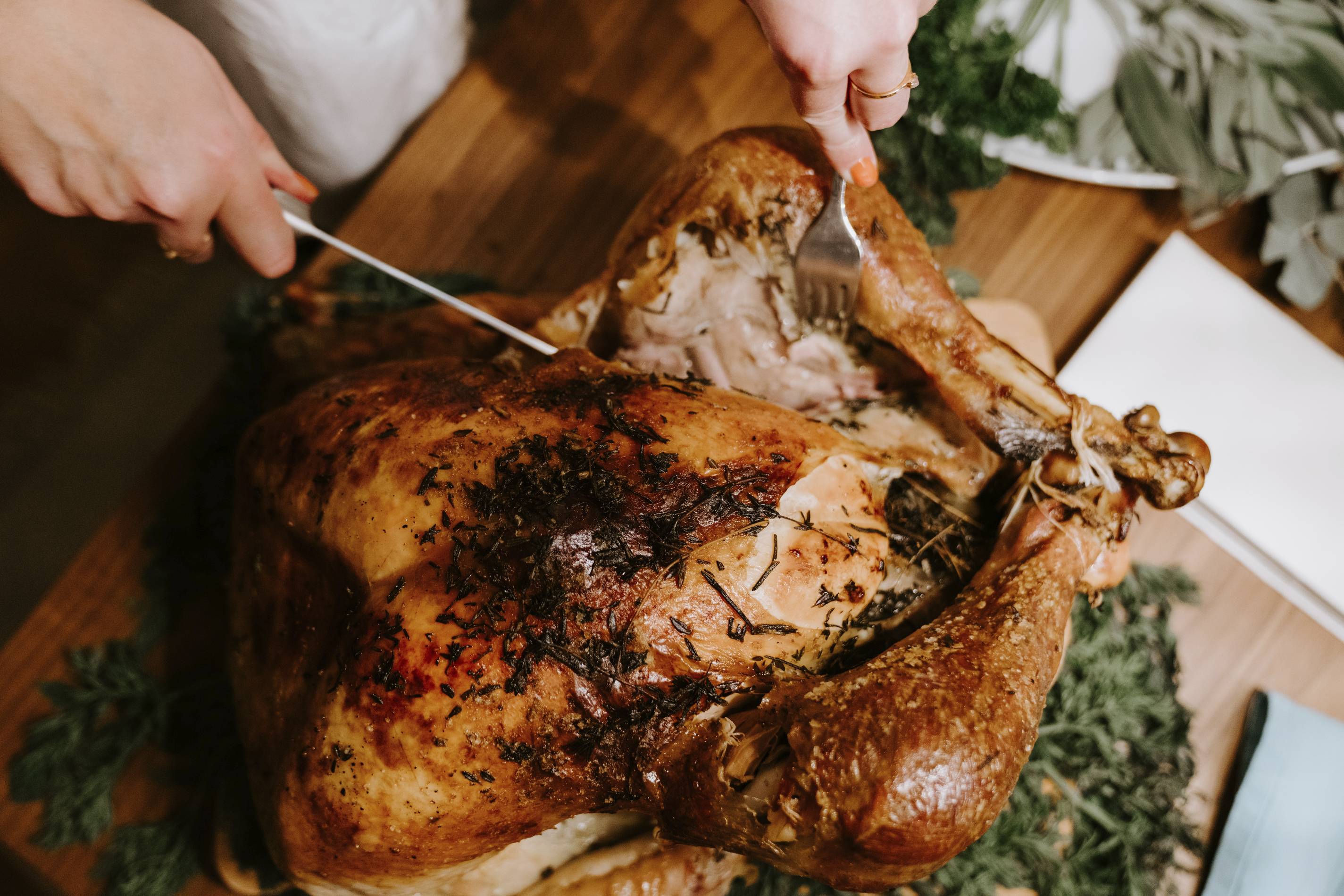 thanksgiving turkey being carved